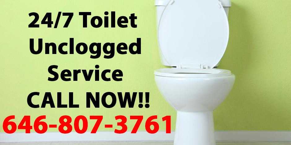 toilet_clogged_unclogged_backup